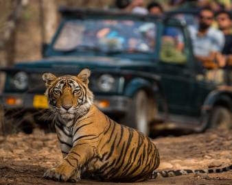 Golden Triangle With Ranthambore Itinerary