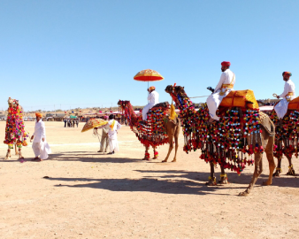 Royal Rajasthan Odyssey